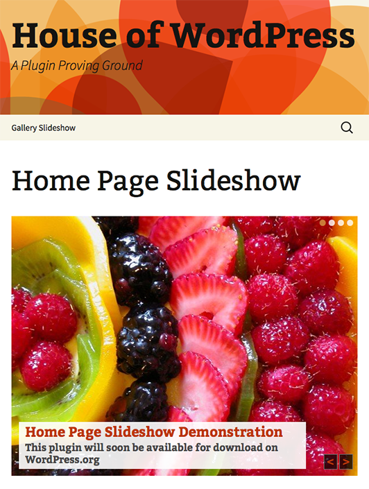 A screen capture of a home page slideshow in the Twenty Thirteen theme. [View a working slideshow.](http://s89693915.onlinehome.us/wp/)