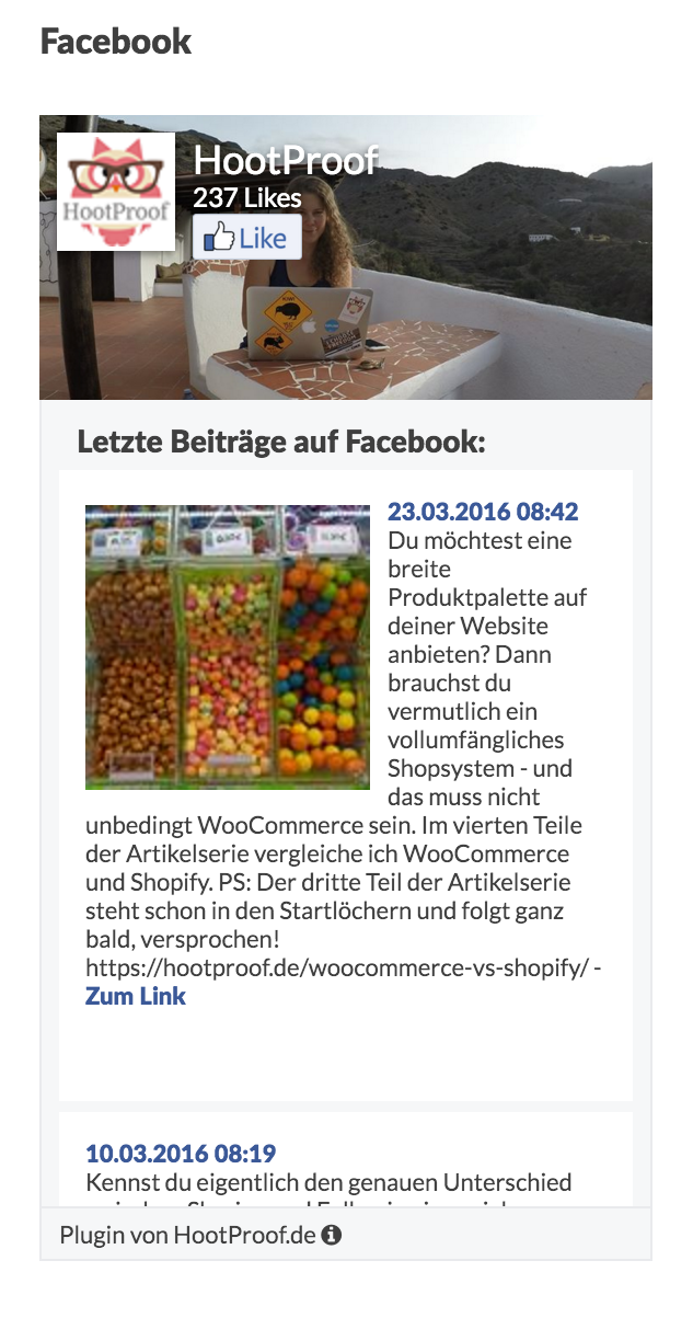Beispiel für Anzeige des Widgets auf der Website.