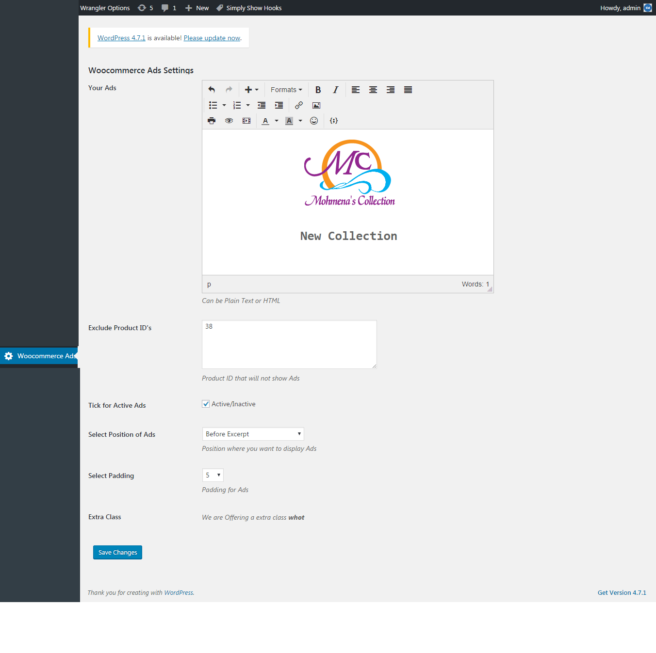 'Woocommerce Ads' Settings page.