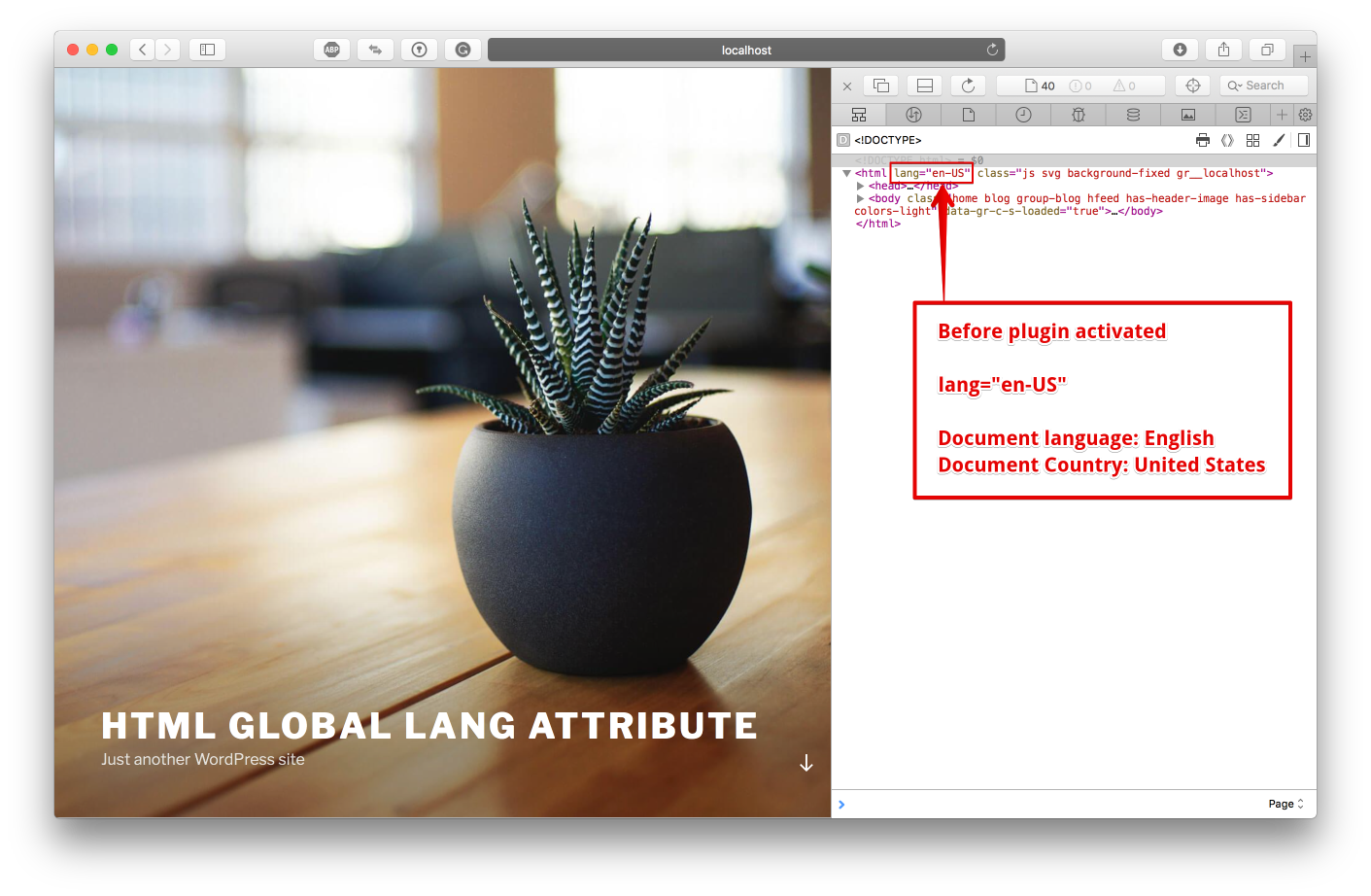 Before plugin activated