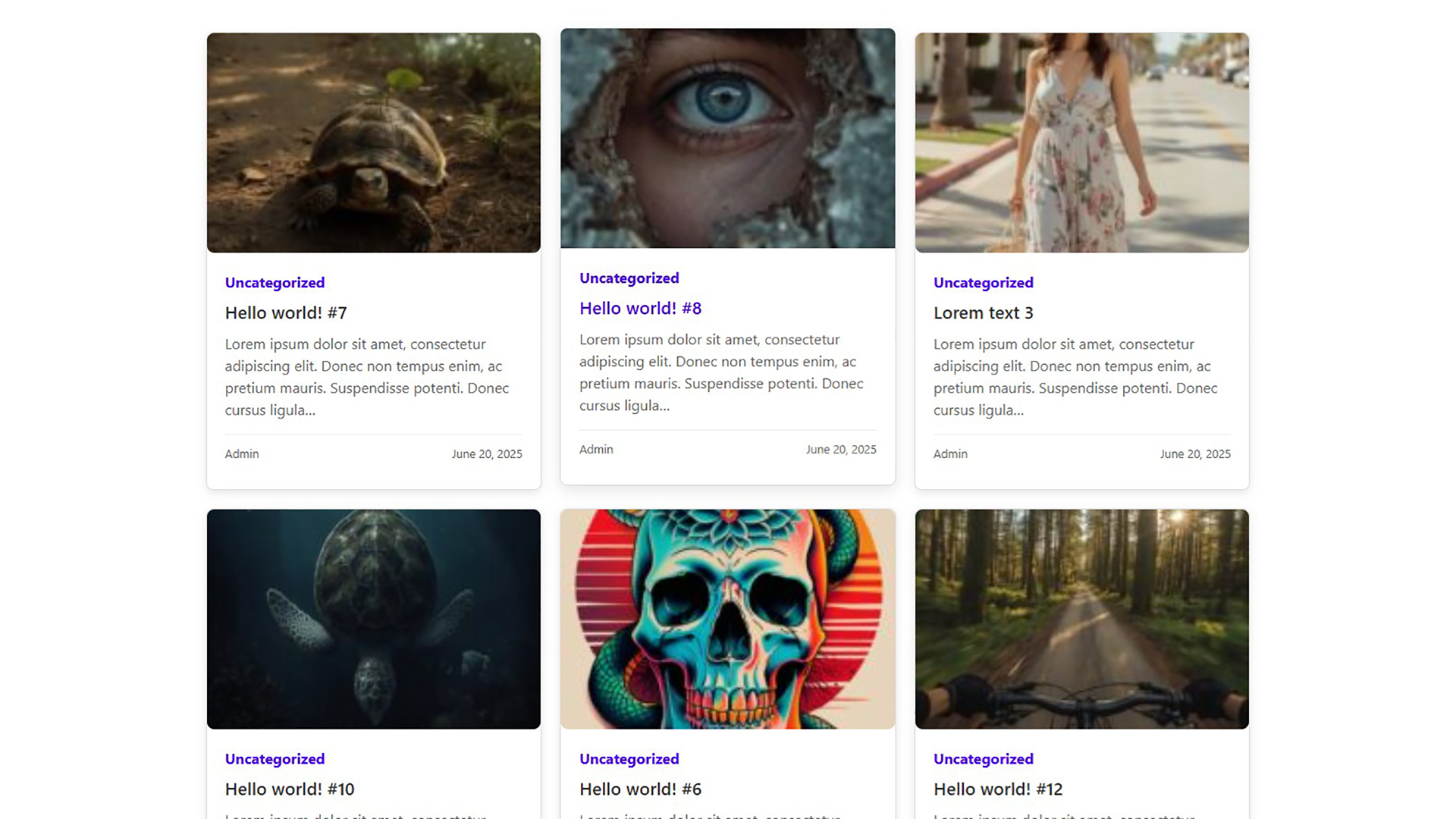 Huge Post Grid on frontend.