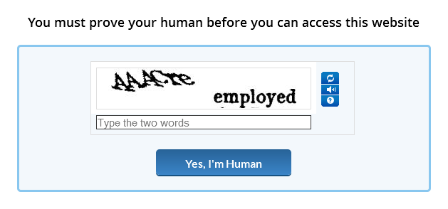 The page where users must fill out the reCAPTCHA
