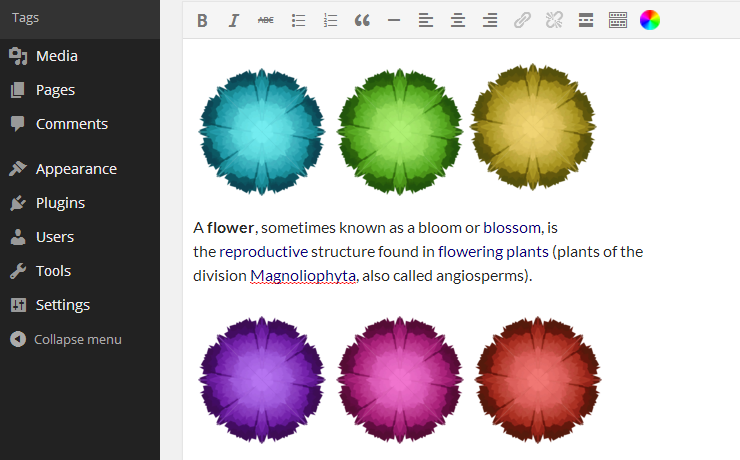 screenshot-7.png: how image variations look like in the TinyMCE editor.