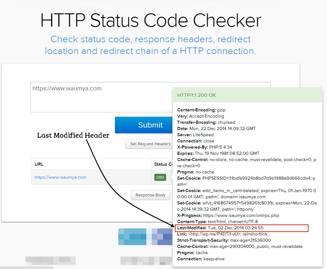 Screenshot of HTTP Header Values.