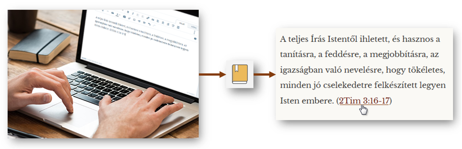 Banner图