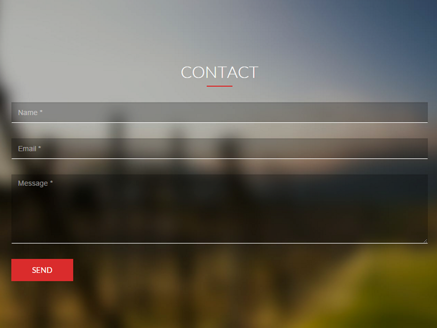 Compact Premium Template Contact Form Section