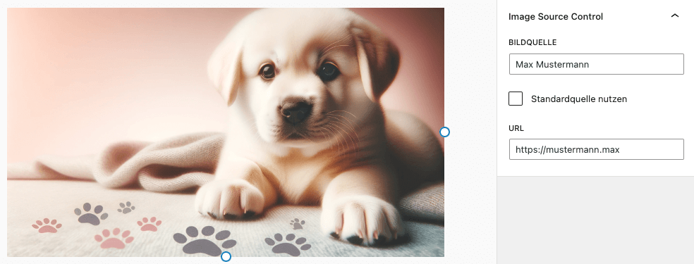 Customizing the display of image captions as an overlay