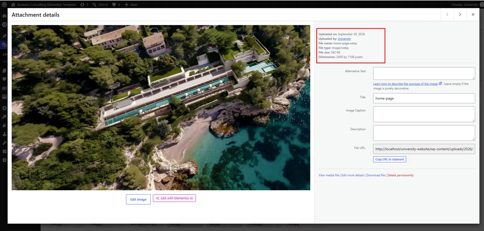 An optimized WebP image in the Media Library.