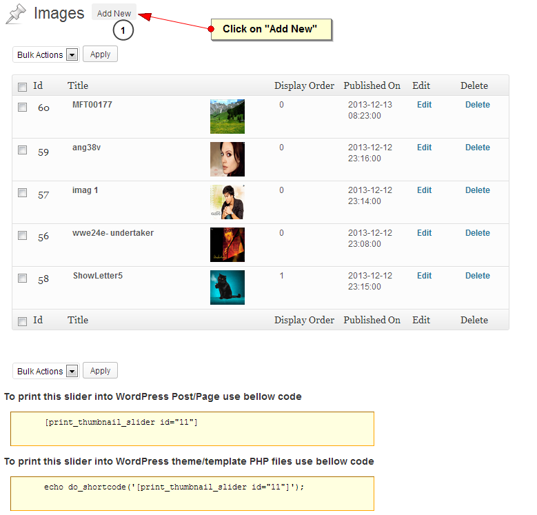 Thumbnail Slider pro version manage images.