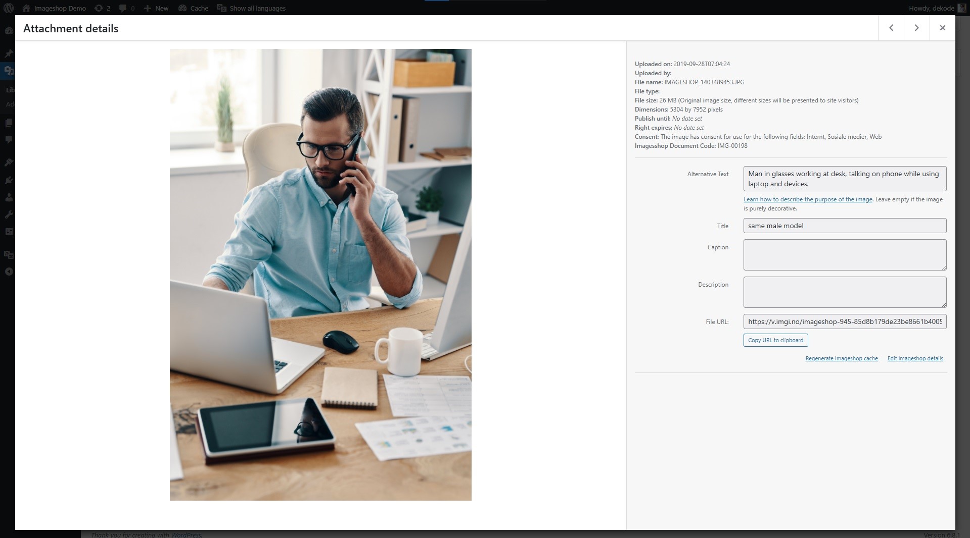 Detailed information about one of your images, including rightss expiry, consent status, and more.