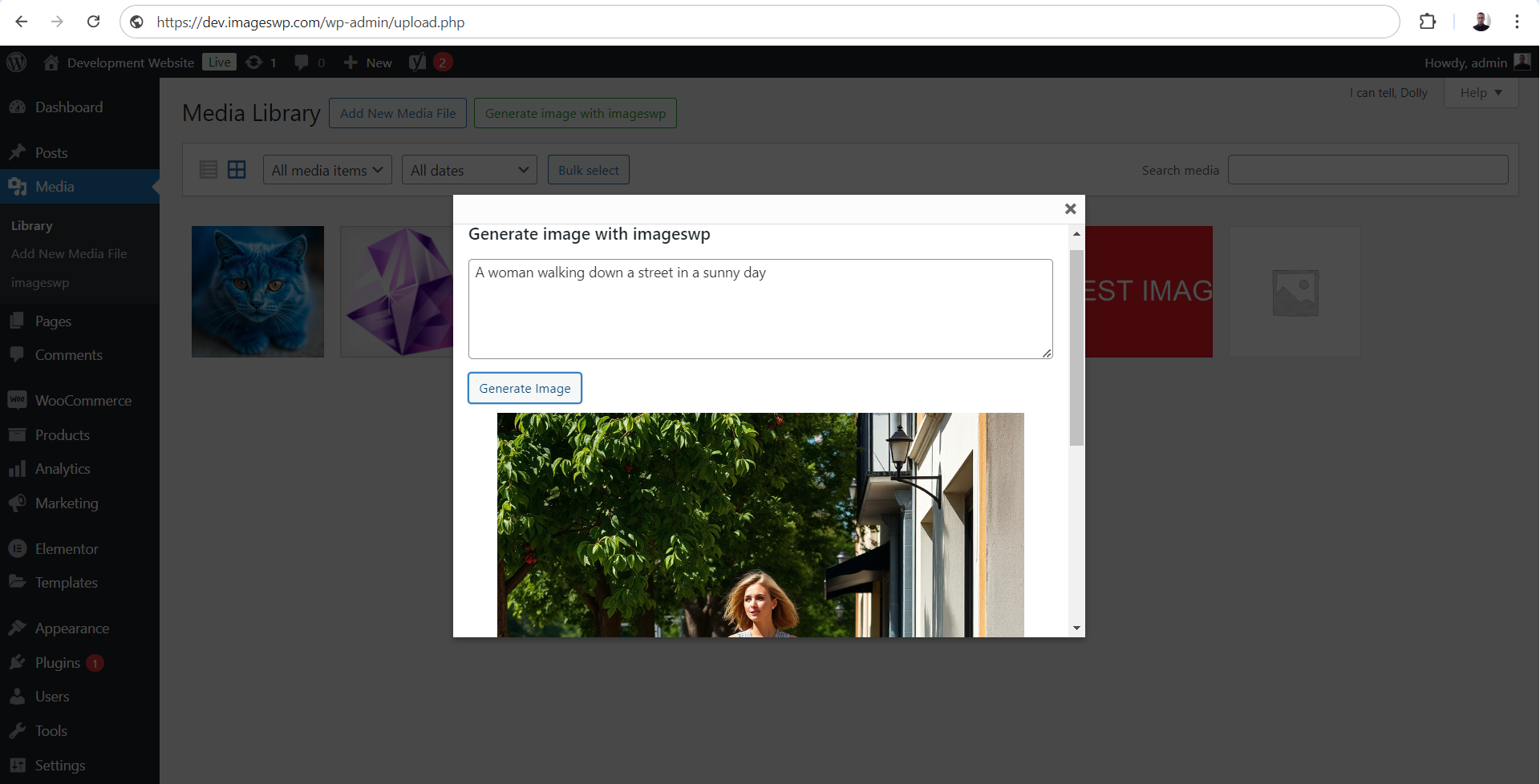 Image generator interface