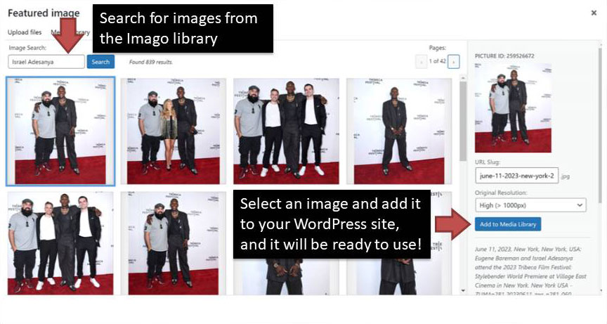 Search for an image, add it to your Media Library and you can start using it!