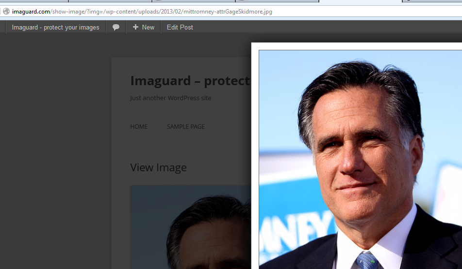 Example of non-aggressive image protection. Image is shown in your blog layout when accessed directly and if clicked as a css popup as here.