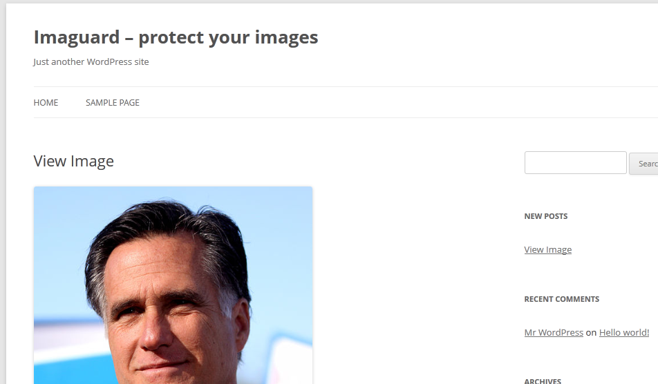 Example of non-aggressive image protection. Image is shown in your blog layout when accessed directly.