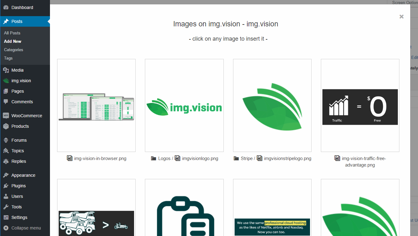 This screenshot shows the visual insert screen of an image into your editor.