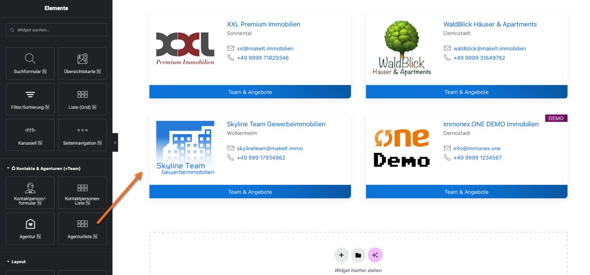 Property overview map widget options