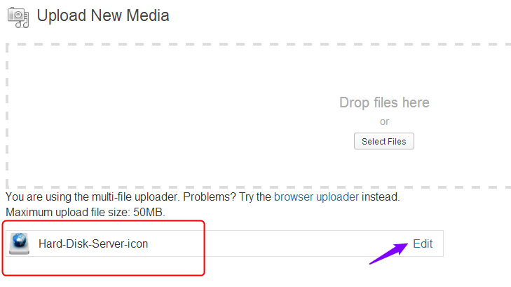 When you will upload the image you can see the icon image on the Upload New Media window, click on the Edit button.