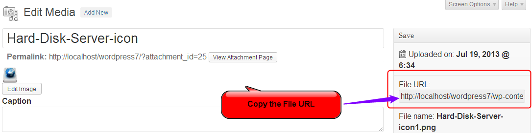 In the next step, insert the File URL.