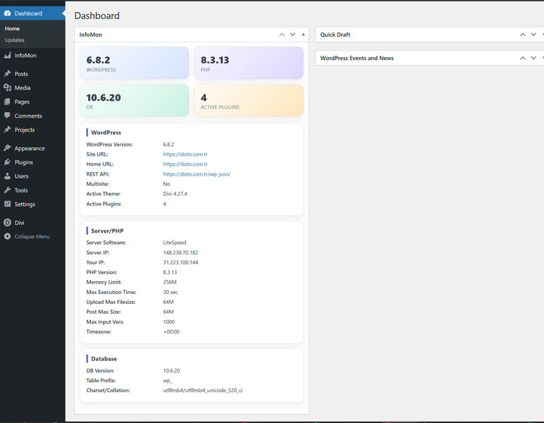 JSON export and copy actions