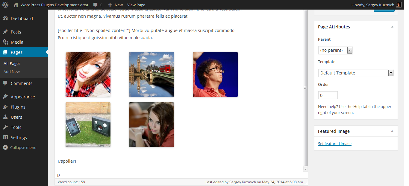 Spoiler shortcode `[spoiler][/spoiler]`