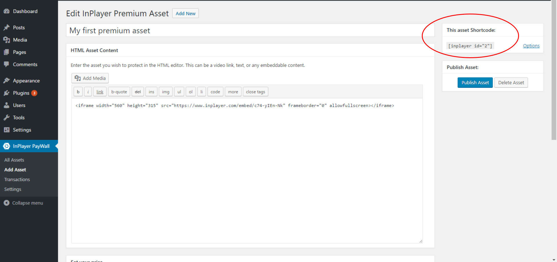 After selecting the price option, lastly the visitor need to enter his card details and pay for the premium asset.