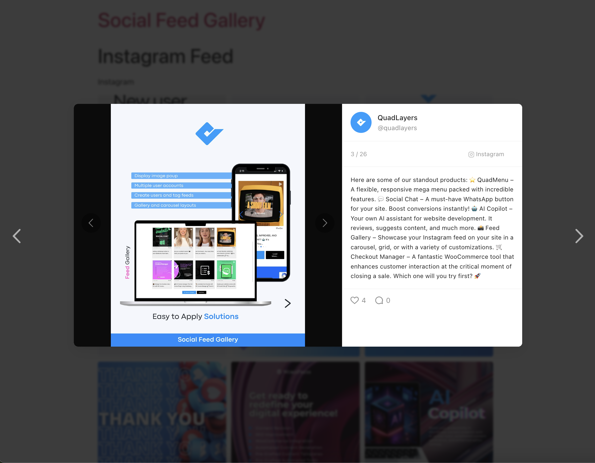 Instagram Feed – **Feed item modal** with likes, comments and navigation arrows