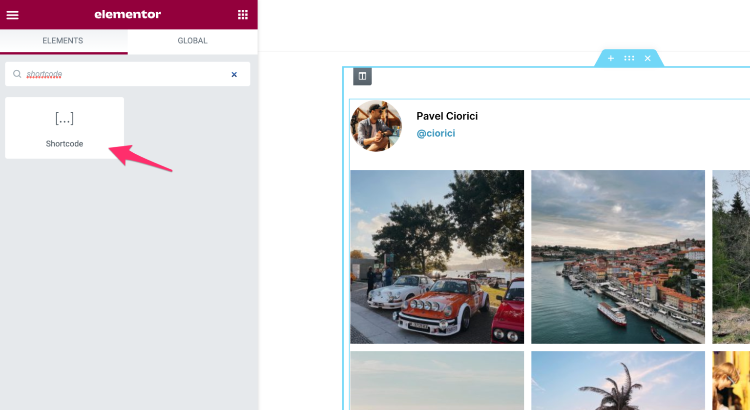 Embed the shortcode in Elementor