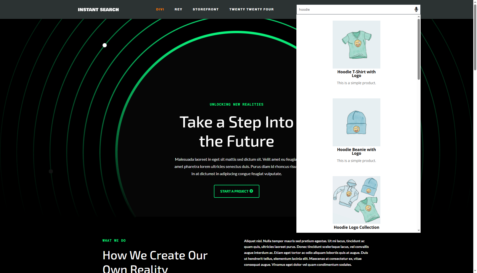 Screenshot with the Divi theme.