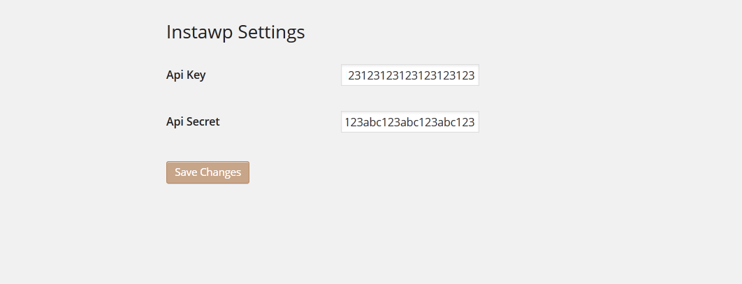 Paste your Instagram Client ID and Client Scret to "Instawp Settings" under your Wordpress Settings