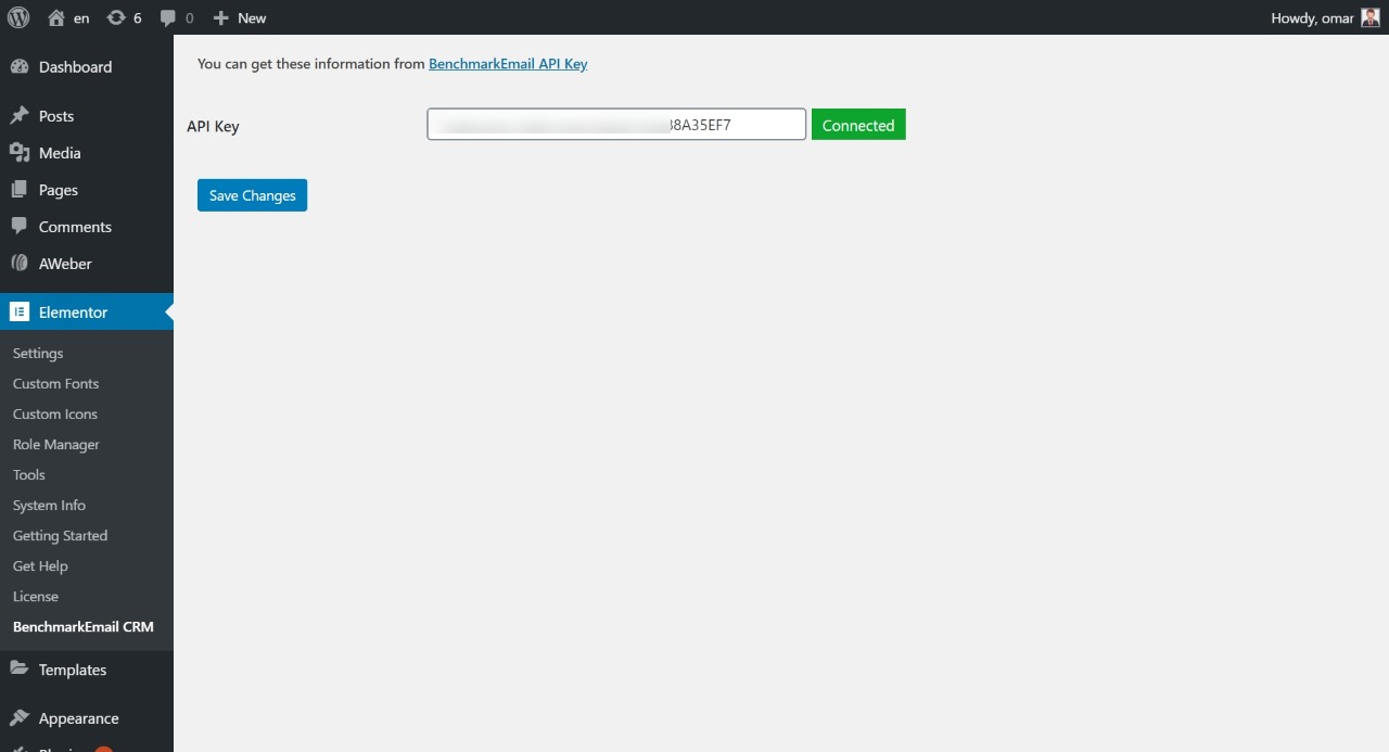 Add API Key to the field