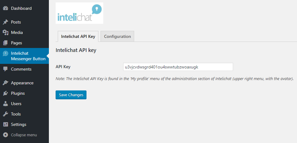 This is the initial configuration screen of the plugin, where the Intelichat API Key must be pasted.