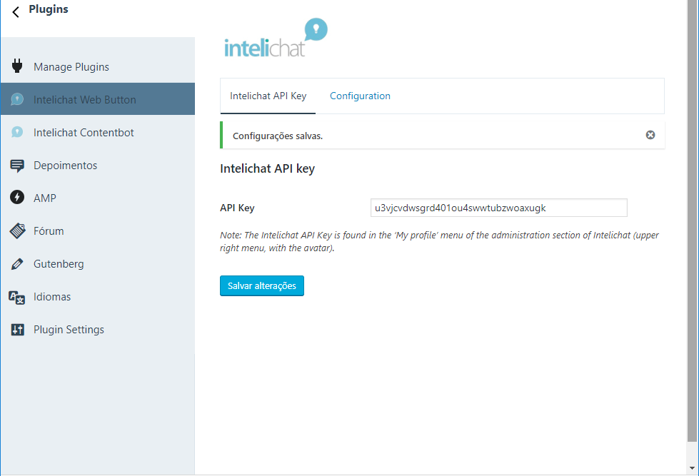 This is the initial configuration screen of the plugin, where the Intelichat API Key must be pasted.