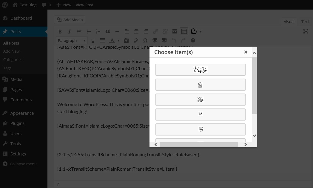 The visual editor showing the toolbar, popup and style of tags.