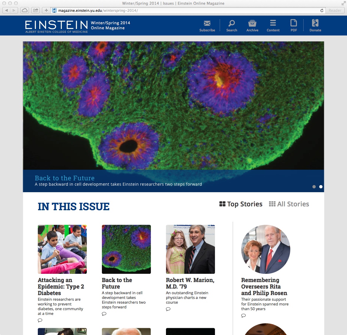 IssueM - issue management
