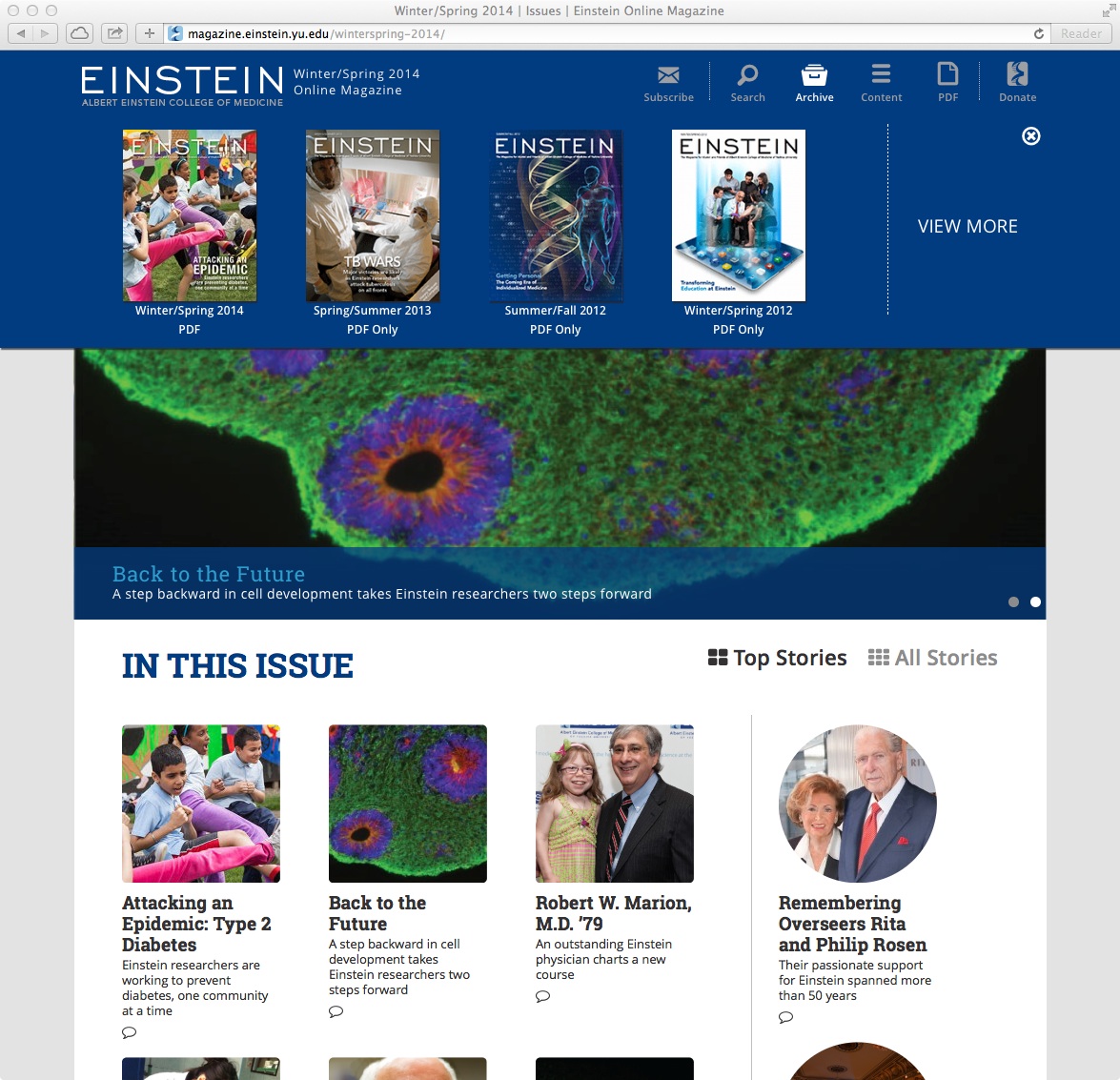 IssueM - add new article