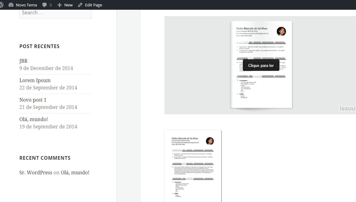 Issuu Panel Simple Reader is compatible with mobile devices