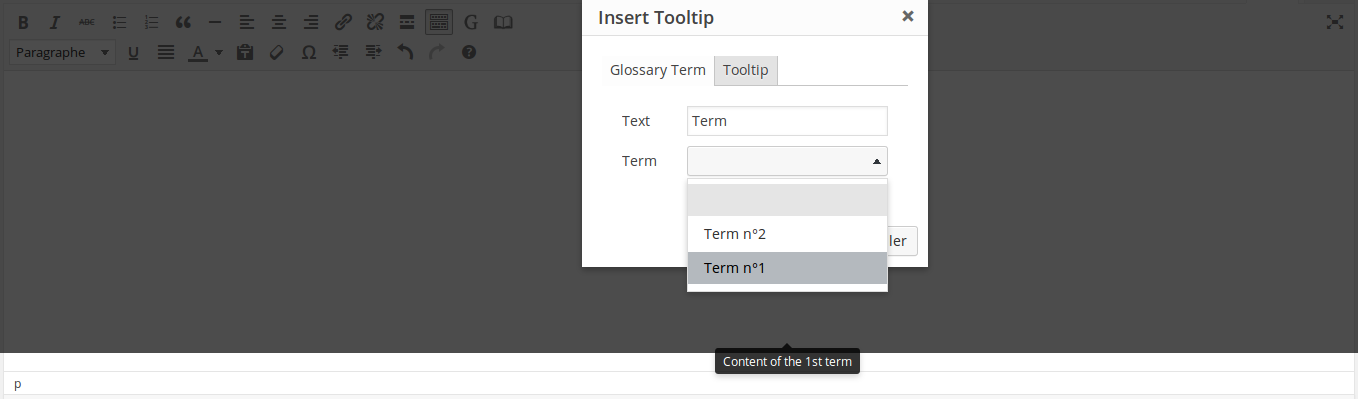 Example TinyMCE glossary term form