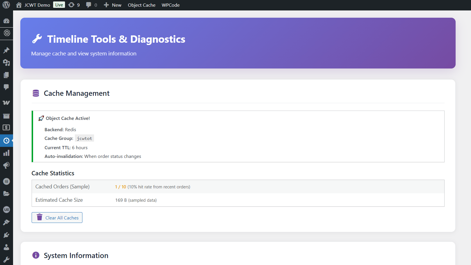 Cache management and diagnostics tools