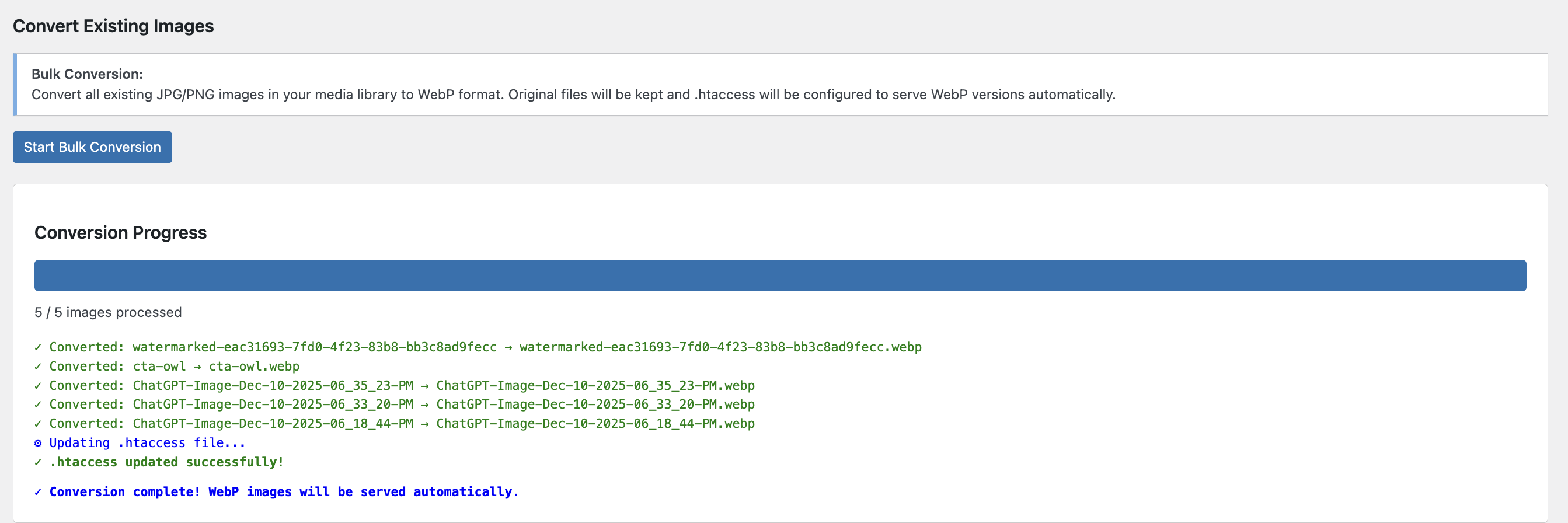 Bulk conversion in progress with real-time logging