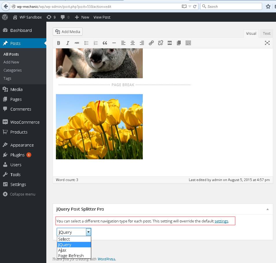Developer Mode > Restrict assets files loading