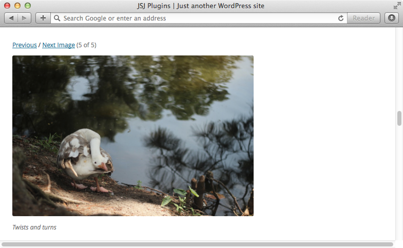 Example using the 'Classic with Caption' theme