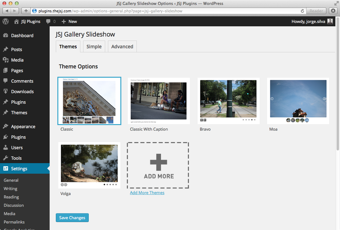 Theme Options Page (Admin)