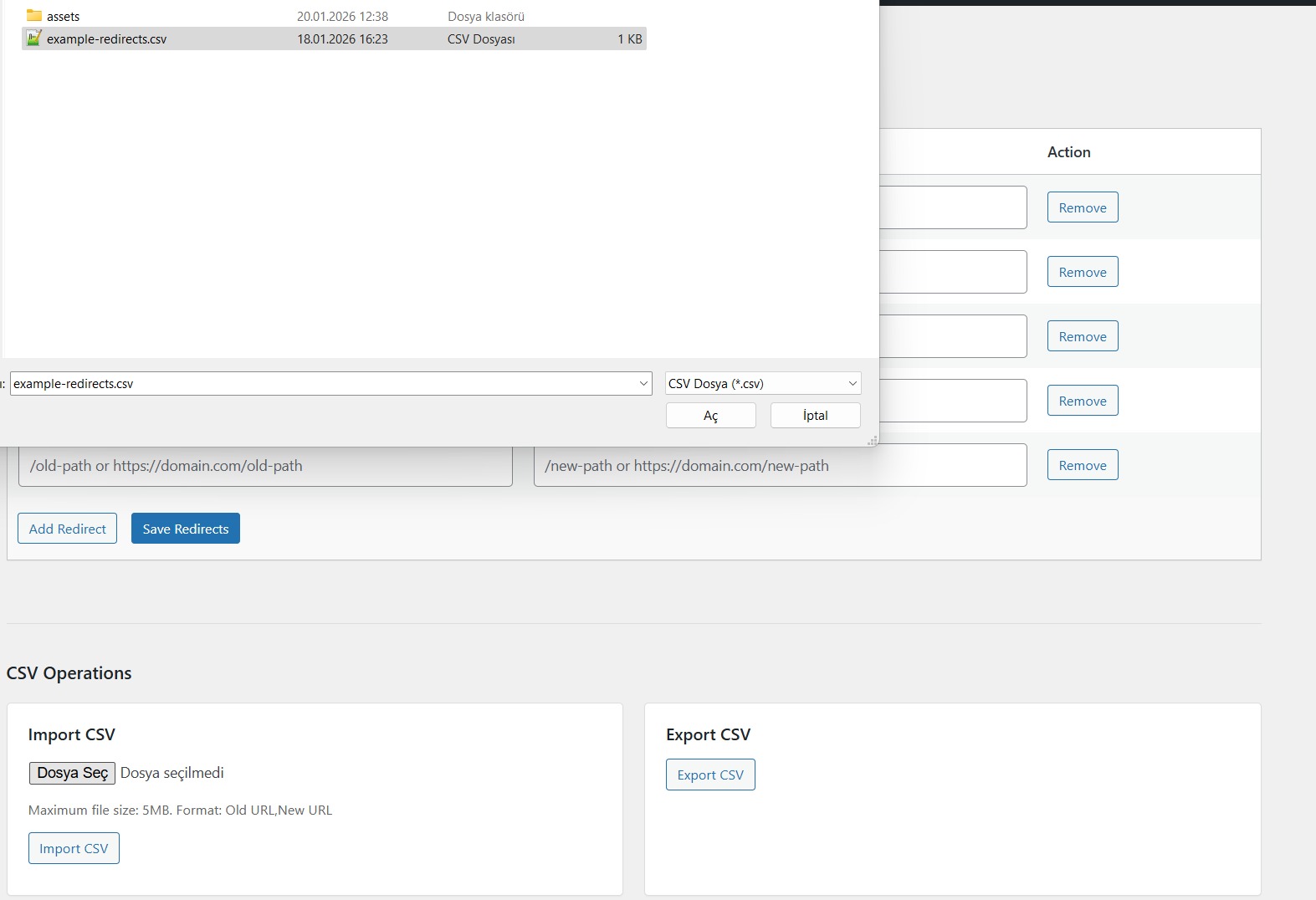 **Add Redirect** - Easy-to-use interface for adding new redirects