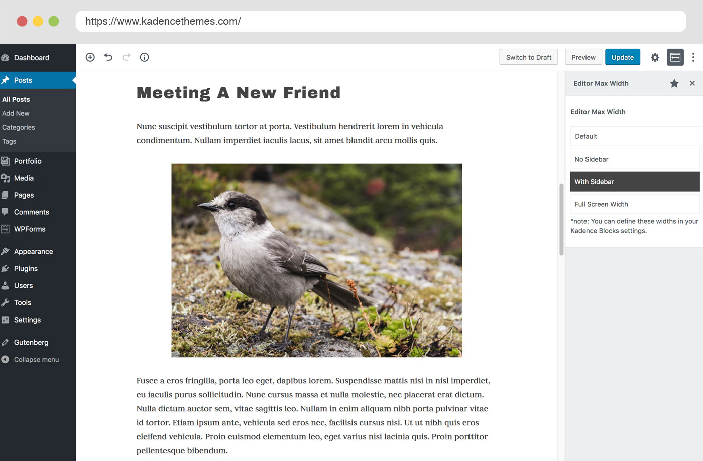 Editor Width settings inside Gutenberg