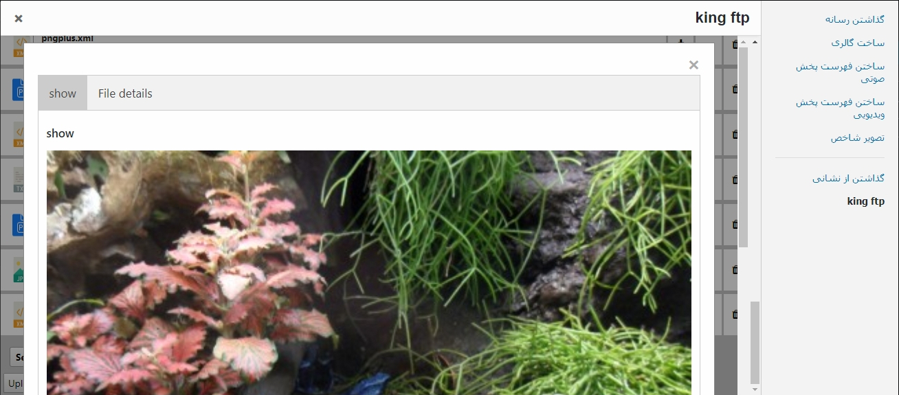 This is screenshot five