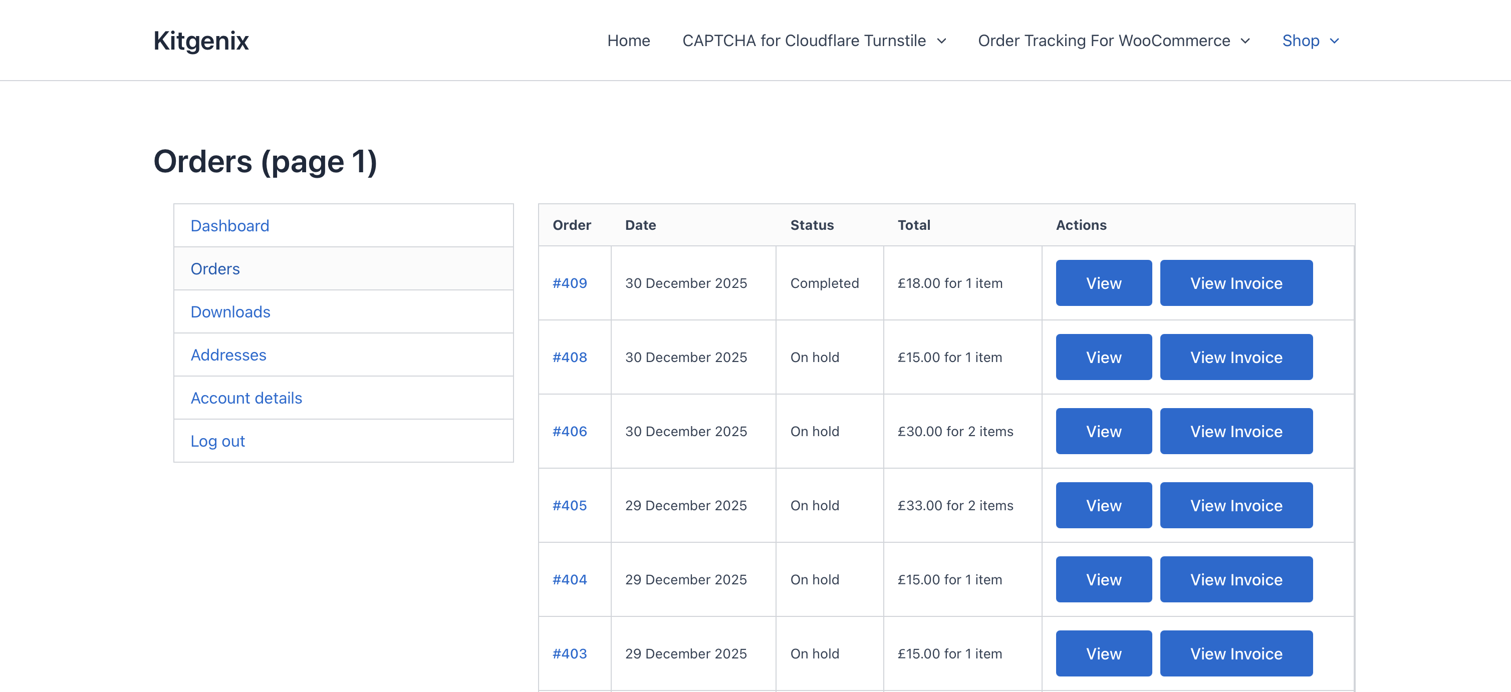 Customer order view: Download Invoice / Credit Note buttons (when enabled).