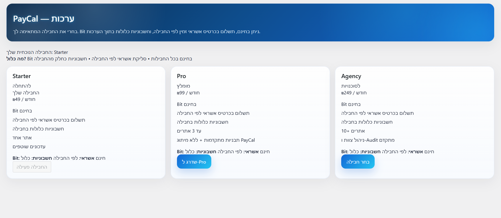 Invoice generation interface