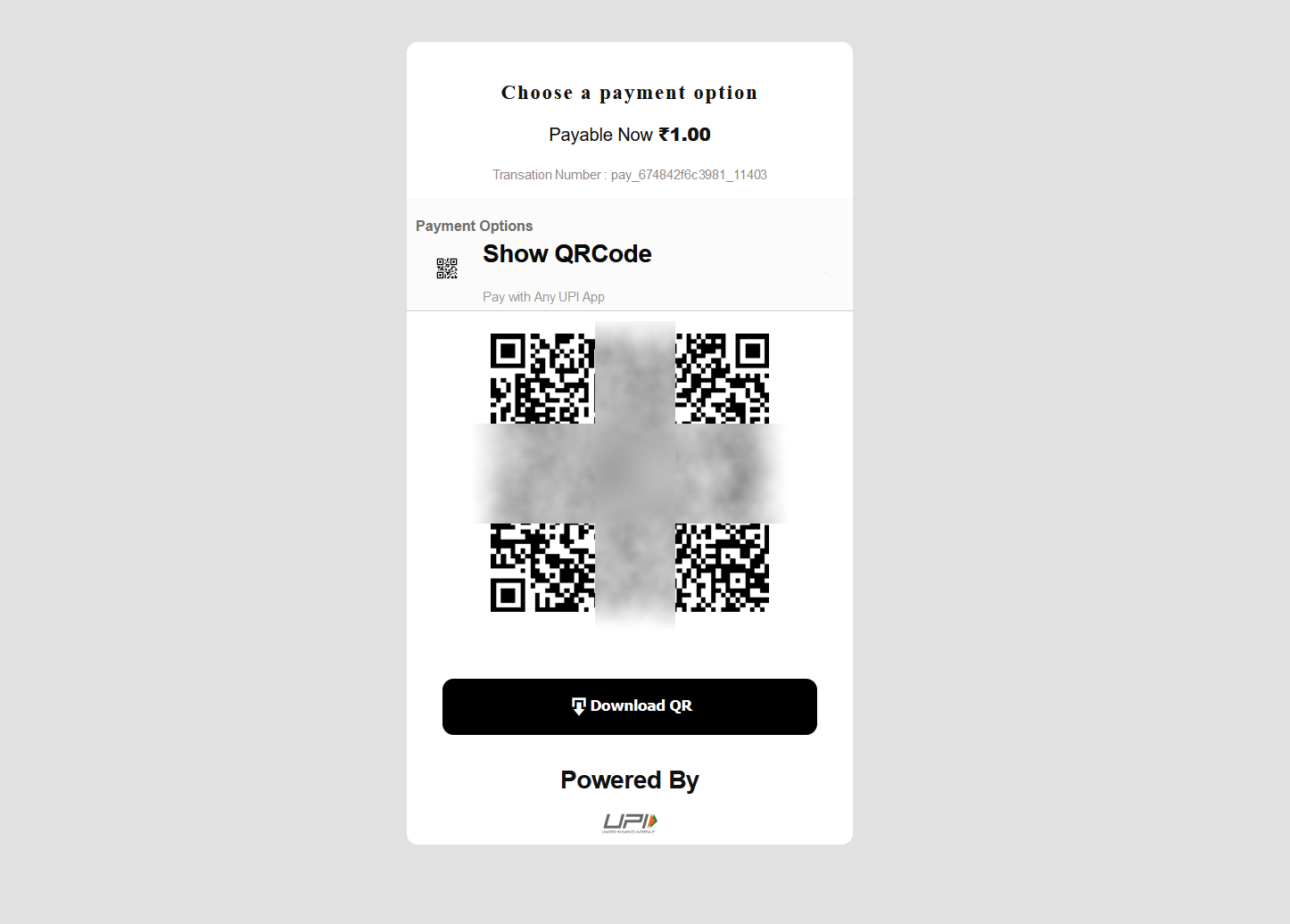Payment Screen - Template 2.