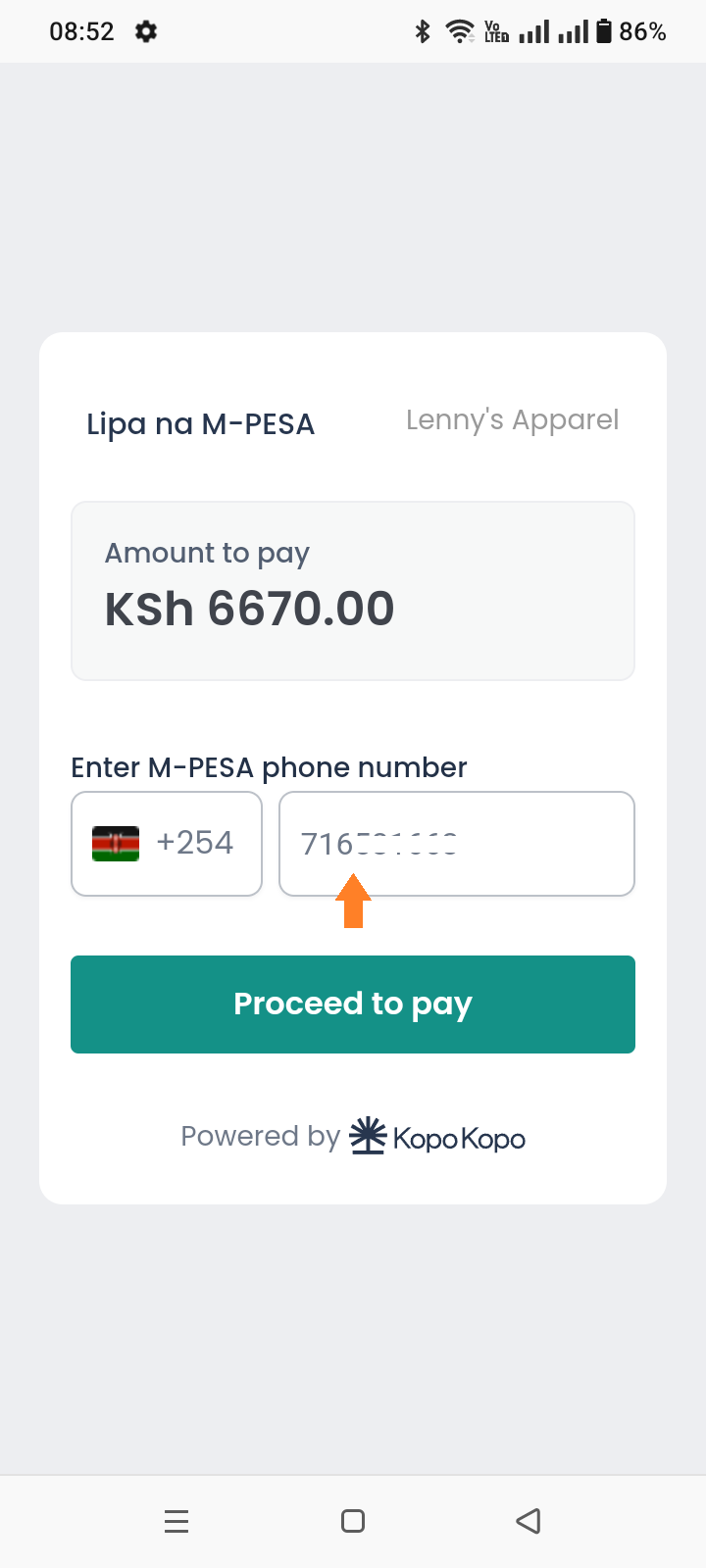 Payment initiation page after placing an order.