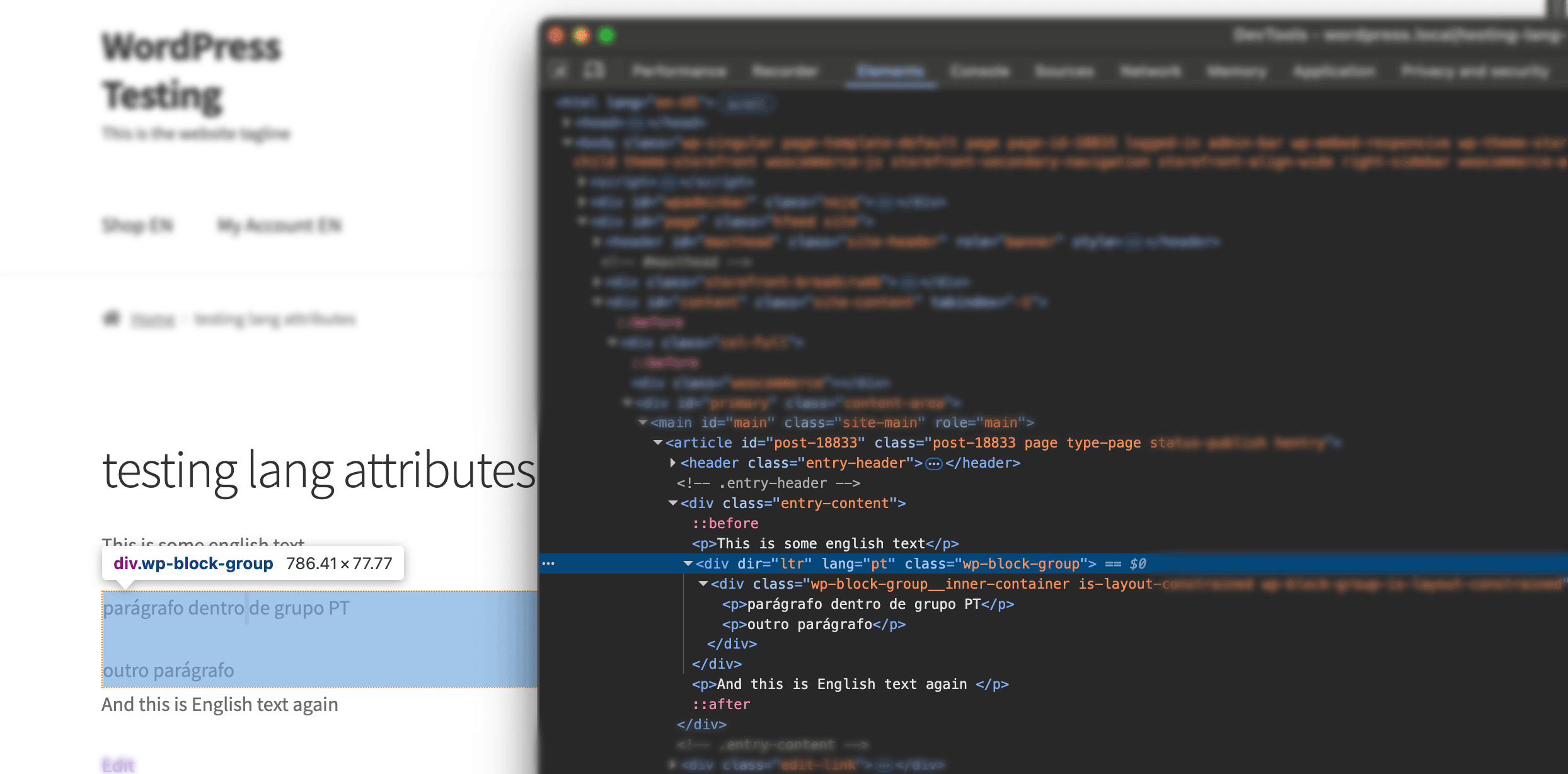 The `lang` and `dir attributes rendered on the frontend
